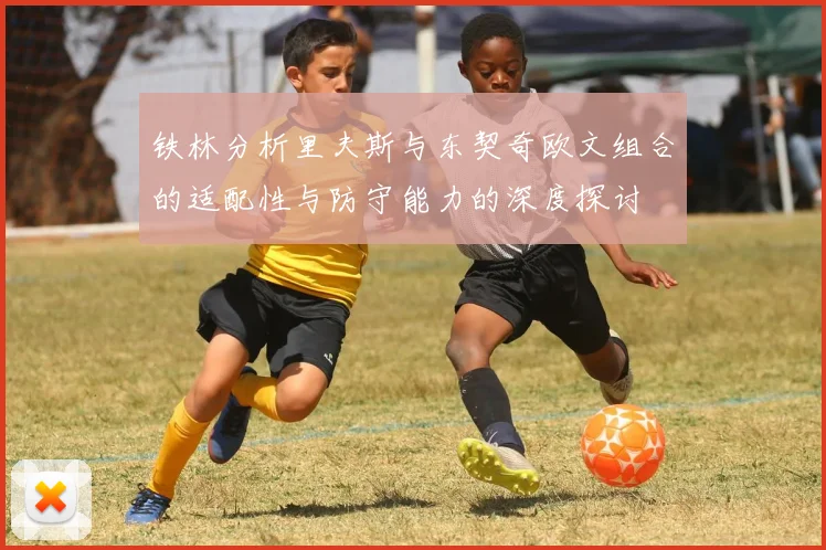 铁林分析里夫斯与东契奇欧文组合的适配性与防守能力的深度探讨